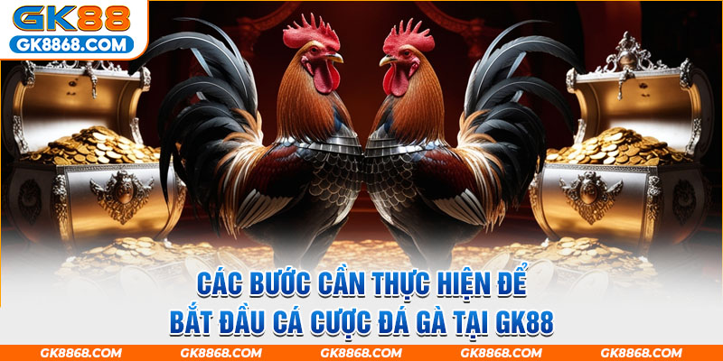 Các bước cần thực hiện để bắt đầu cá cược đá gà tại GK88