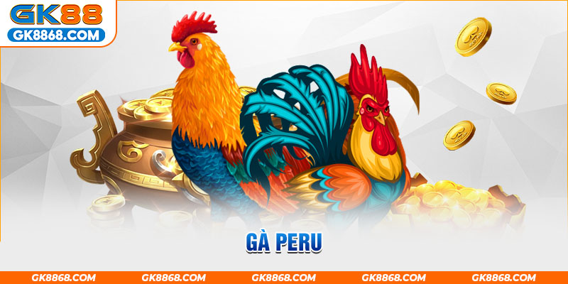 Gà Peru